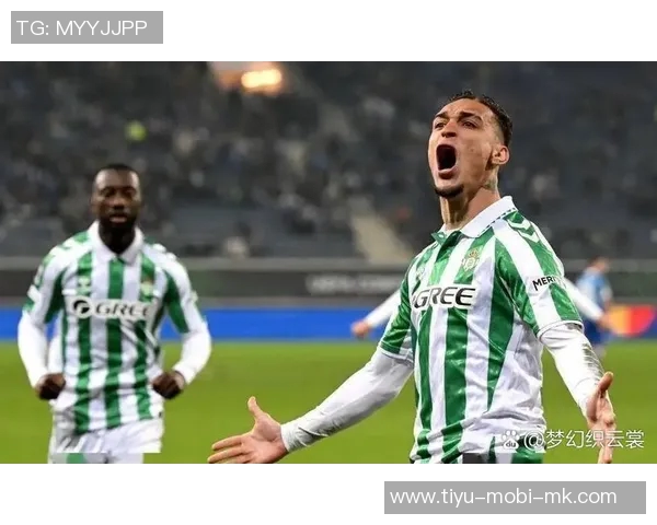 麦克托米奈谈那不勒斯主力缺阵每位球员都在全力以赴拼搏